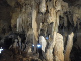img0223.jpg
