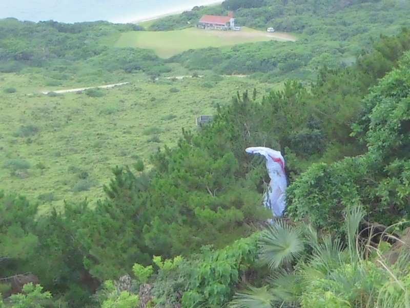 img0000.jpg