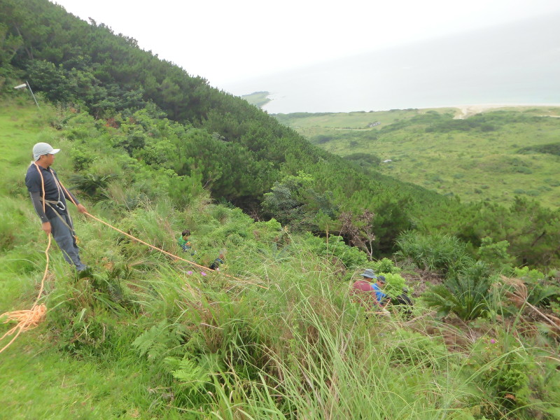 img0005.jpg