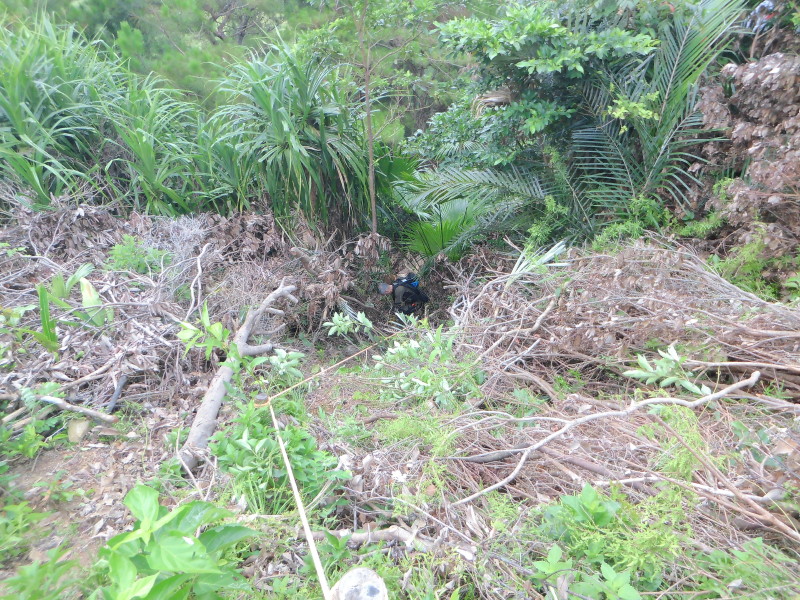 img0009.jpg