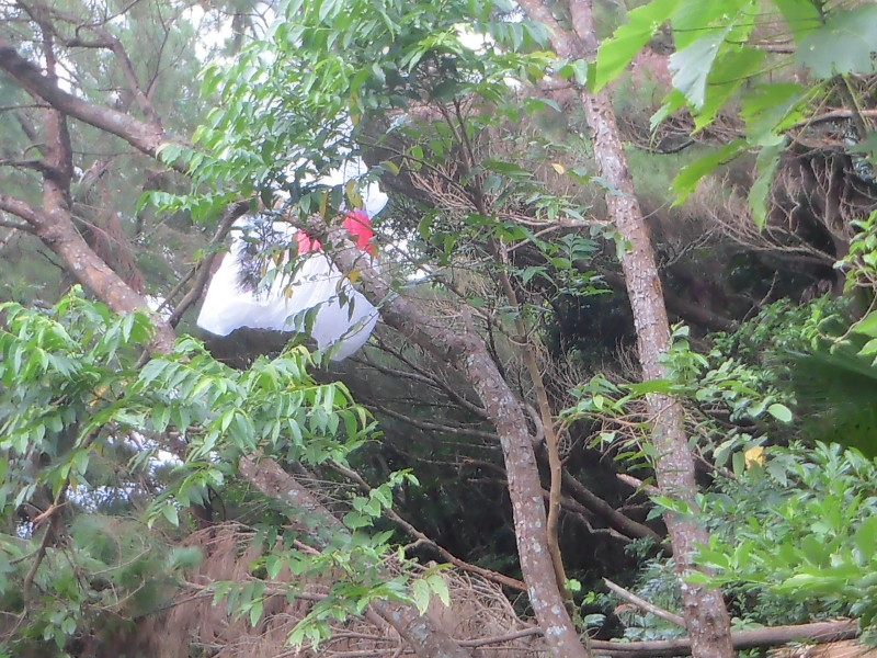 img0011.jpg