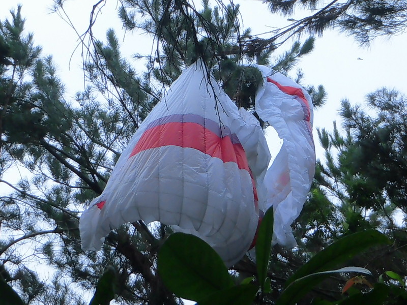 img0012.jpg