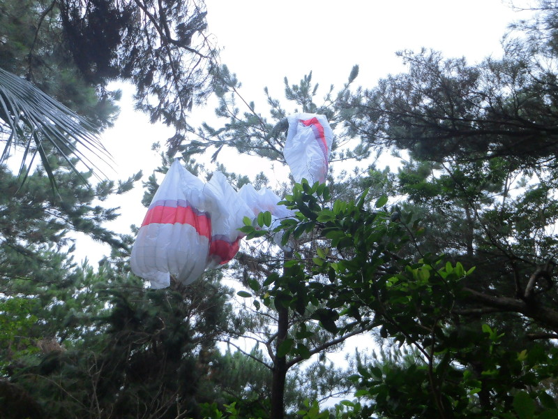 img0014.jpg