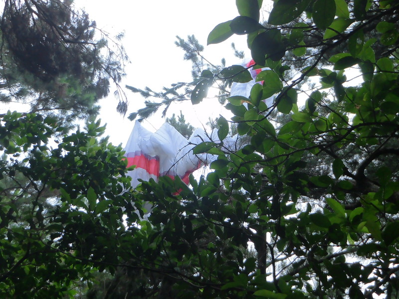 img0018.jpg