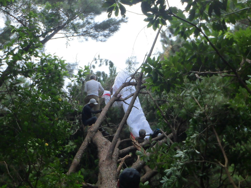 img0035.jpg