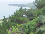 img0007.jpg