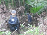 img0008.jpg