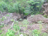 img0009.jpg