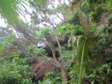 img0010.jpg