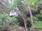 img0011.jpg