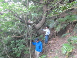 img0015.jpg