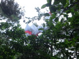 img0018.jpg