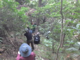 img0019.jpg