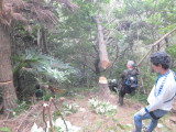 img0023.jpg
