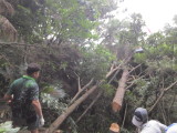 img0024.jpg