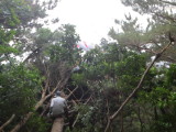 img0025.jpg
