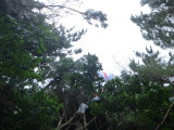img0026.jpg