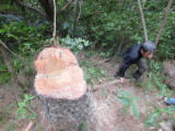 img0028.jpg