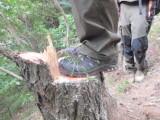 img0031.jpg