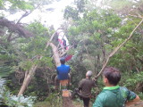img0034.jpg