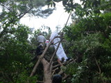 img0035.jpg