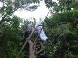 img0036.jpg