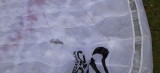 img0038.jpg
